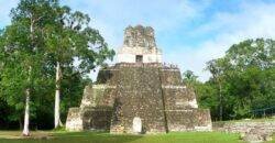 piramide-templo-tikal-guatemala-jaguar