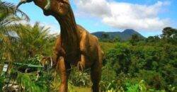 Catarata Río Agrio – Dino Land - Bajos del Toro - Costa Rica - IguanaGo