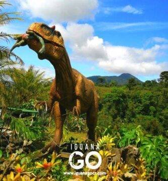 Catarata Río Agrio – Dino Land - Bajos del Toro - Costa Rica - IguanaGo