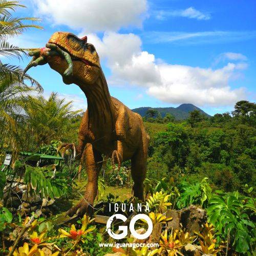 Catarata Río Agrio – Dino Land - Bajos del Toro - Costa Rica - IguanaGo
