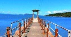 Isla San Lucas - Puntarenas - Costa Rica - IguanaGo
