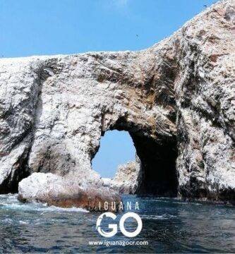 Pinguinos y lobos Marinos en Islas Ballestas - Paracas - Lima - Peru - IguanaGo - Costa Rica