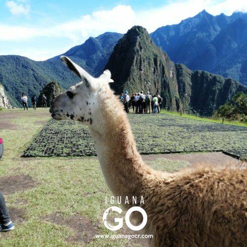 Machu Picchu - Peru - IguanaGo - Costa Rica
