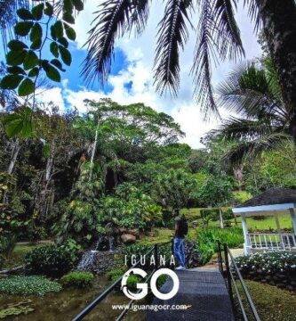 Jardin-Botanico-Else-Kientzler-Sarchi-Alajuela-Costa-Rica-IguanaGo