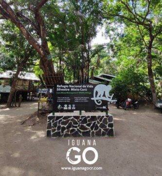 Playa Quesera - Refugio de Vida Silvestre Curu - Puntarenas - Costa Rica - IguanaGo