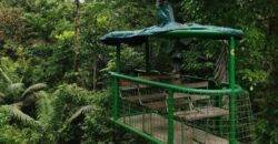 Rainforest Adventures Braulio Carrillo - Costa Rica - IguanaGo