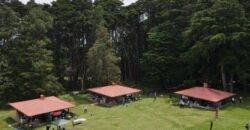 Bosque de la hoja - Heredia - IguanaGo