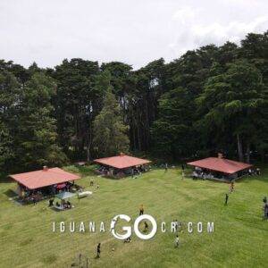 Bosque de la hoja - Heredia - IguanaGo