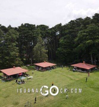 Bosque de la hoja - Heredia - IguanaGo