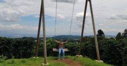 Finca Vikingos - Heredia - IguanaGo