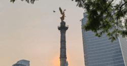 Viaje a Mexico - CDMX - Ciudad de México - IguanaGo