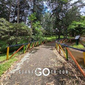 Laguna de Doña Ana - Cartago - Costa Rica - IguanaGo