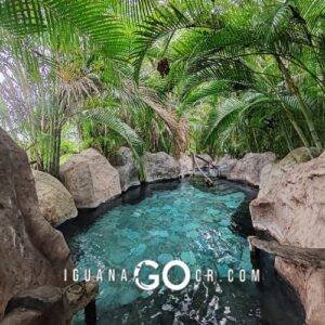 Aguas Termales - La Fortuna - Volcan Arenal - Costa Rica -IguanaGo