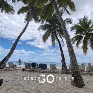 Republica Dominicana en Bus Tours y Hoteles en Punta Cana Santo Domingo y Puerto Plata - IguanaGo - Guia de Viaje