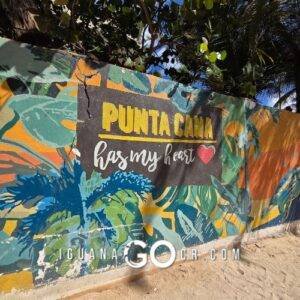 Republica Dominicana en Bus Tours y Hoteles en Punta Cana Santo Domingo y Puerto Plata - IguanaGo - Guia de Viaje