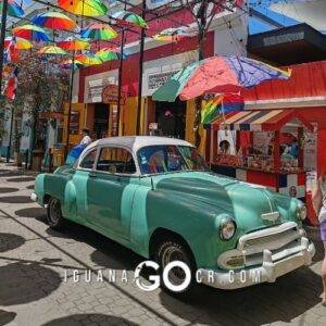Republica Dominicana en Bus Tours y Hoteles en Punta Cana Santo Domingo y Puerto Plata - IguanaGo - Guia de Viaje