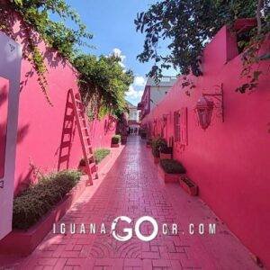 Republica Dominicana en Bus Tours y Hoteles en Punta Cana Santo Domingo y Puerto Plata - IguanaGo - Guia de Viaje