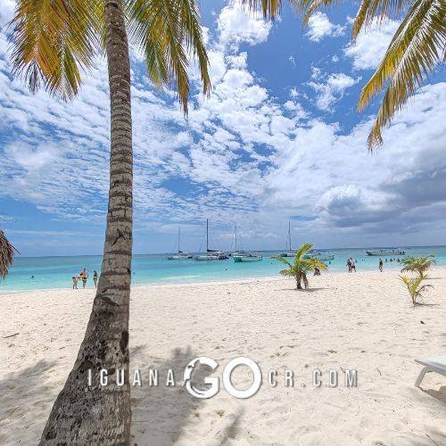 Tour Isla Saona desde Punta Cana o Santo Domingo Mi Experiencia y recomendaciones - Republica Dominicana - IguanaGo
