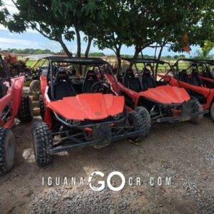Tour de Buggies en Punta Cana - Republica Dominicana - IguanaGo - Buggy - Playa Macao - Cueva Taina - Excursion