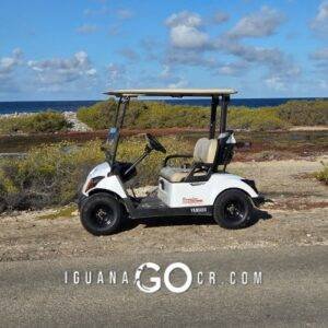 Que hacer en Bonaire 1 dia de crucero Guia Kralendijk por cuenta propia en carrito de golf - IguanaGo - Royal Caribbean - NCL - Norwegian Cruise