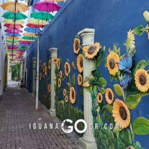 Que hacer en Curazao 1 dia de crucero Guia Willemstad por cuenta propia - IguanaGo - Royal Caribbean - NCL - Norwegian Cruise